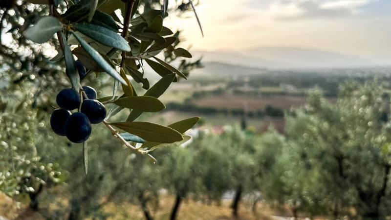 Cycling Puglia & Matera