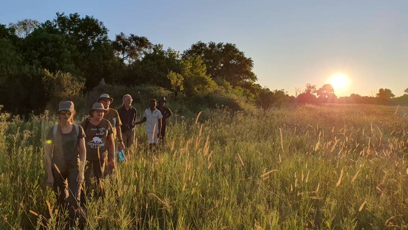 Botswana & Zimbabwe Lodge Safari