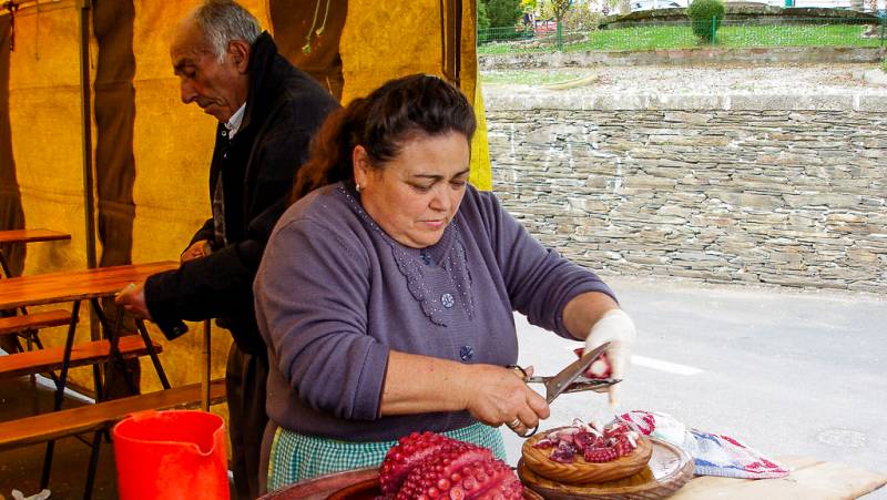 Trekking the Camino de Santiago