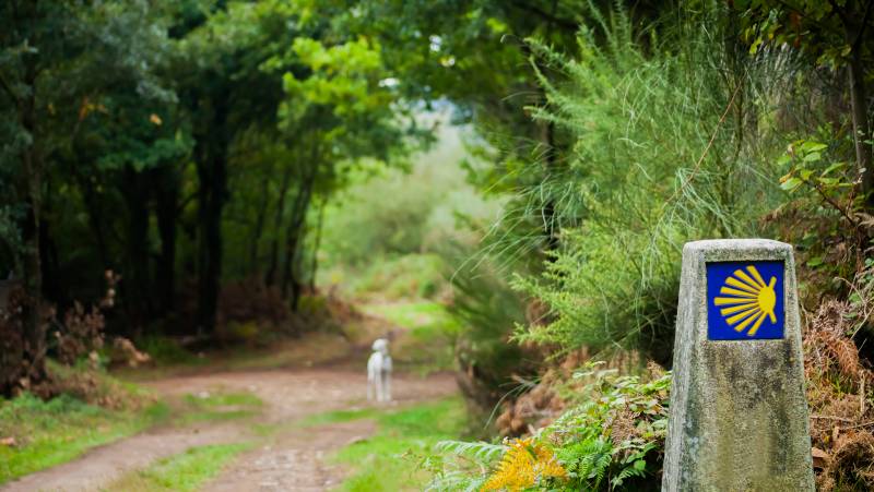 Trekking the Camino de Santiago