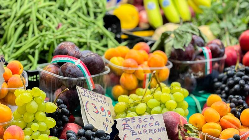 Discover Tuscany: Culture, Food & Wine