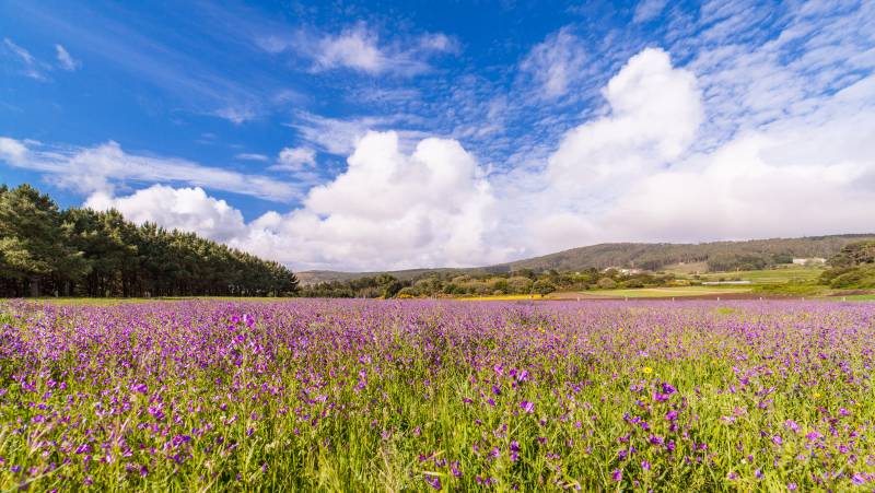 Trekking the Camino de Santiago