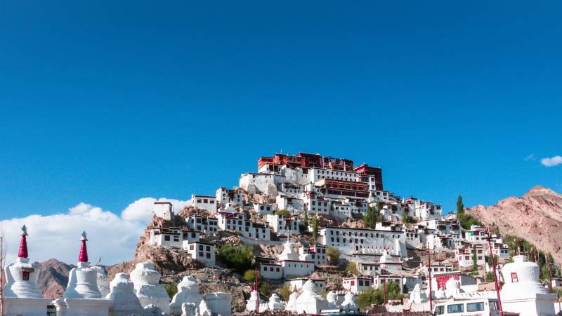 Search for Snow Leopards with Valerie Parkinson