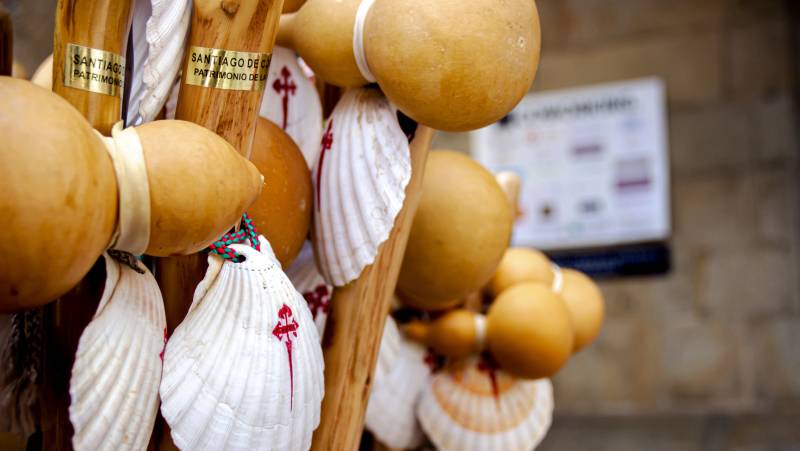 Trekking the Camino de Santiago