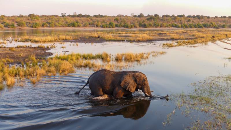 Botswana & Zimbabwe Lodge Safari