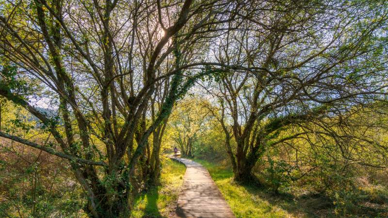Trekking the Camino de Santiago