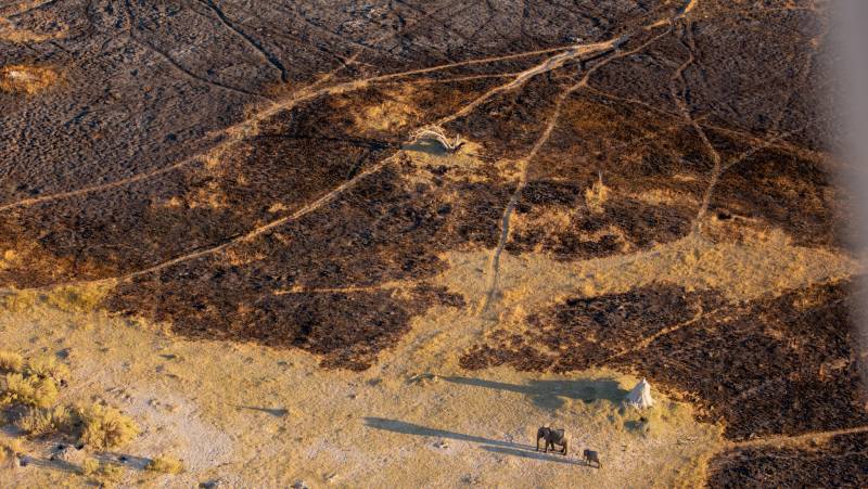 Botswana & Namibia: Delta & Dunes