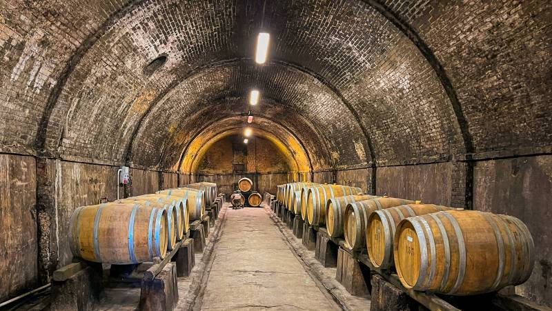 Tuscany Walks & Chianti Wines