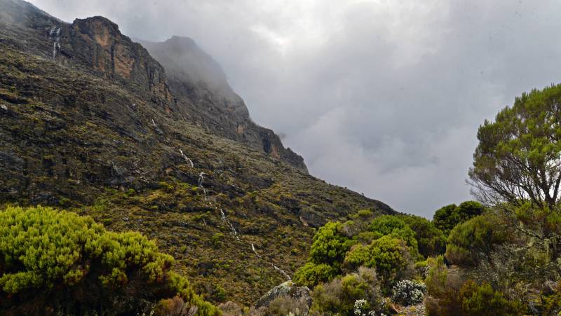 Kilimanjaro Climb – Lemosho Route