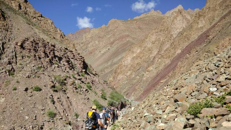 Peaks of Ladakh Trek