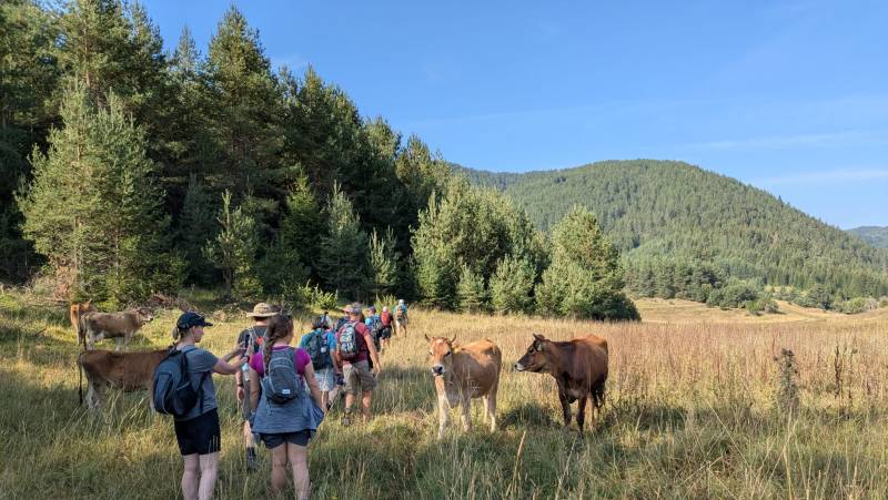 Hike Bulgaria’s Rodopi Mountains