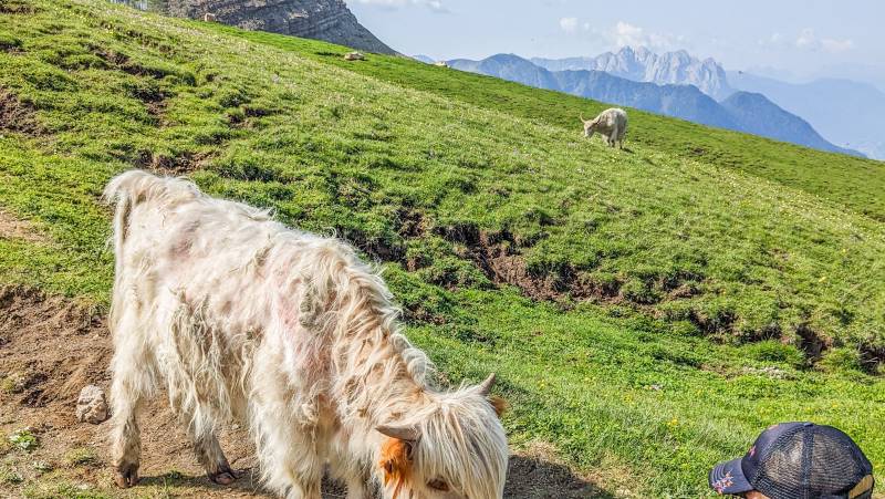 Hiking the Dolomites