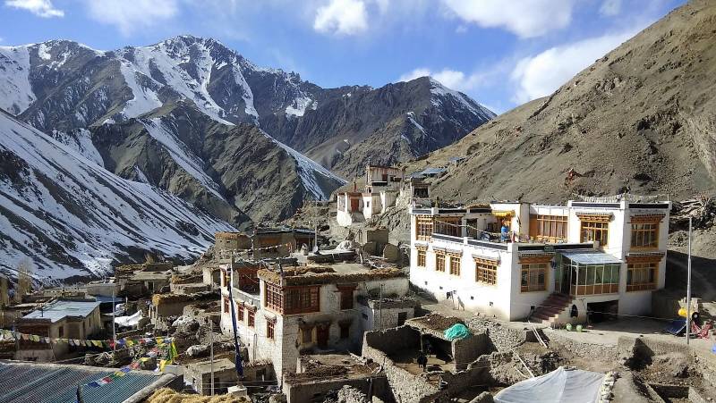 Search for Snow Leopards with Valerie Parkinson