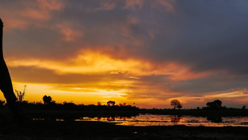 Botswana & Zimbabwe Lodge Safari