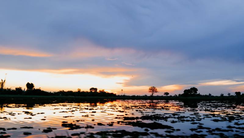 Botswana & Zimbabwe Lodge Safari