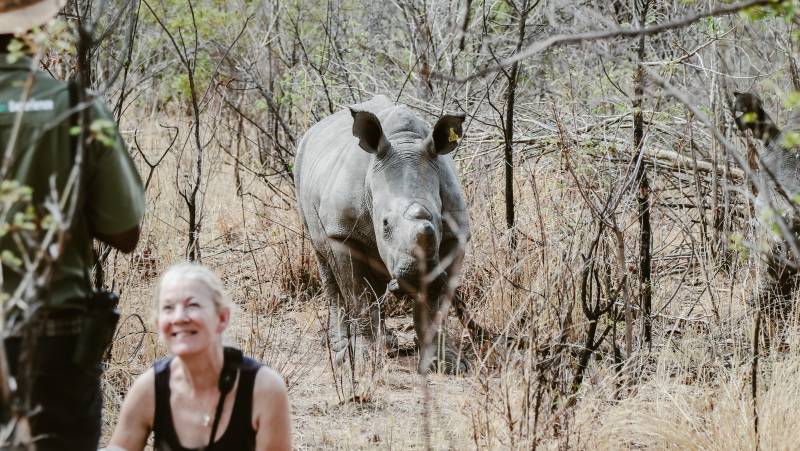 Botswana & Zimbabwe Lodge Safari