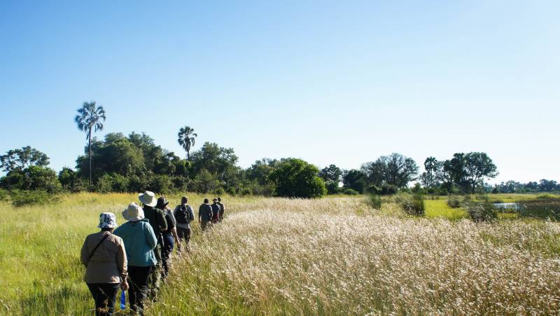 Wildlife & Wilderness of Botswana