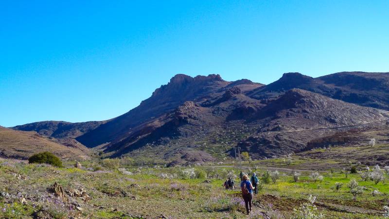 Atlas Mountains