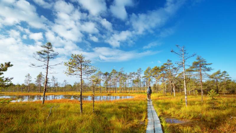 Discover the Baltics