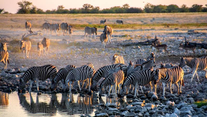 Namibian Family Adventurer