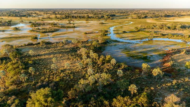 Wildlife & Wilderness of Botswana