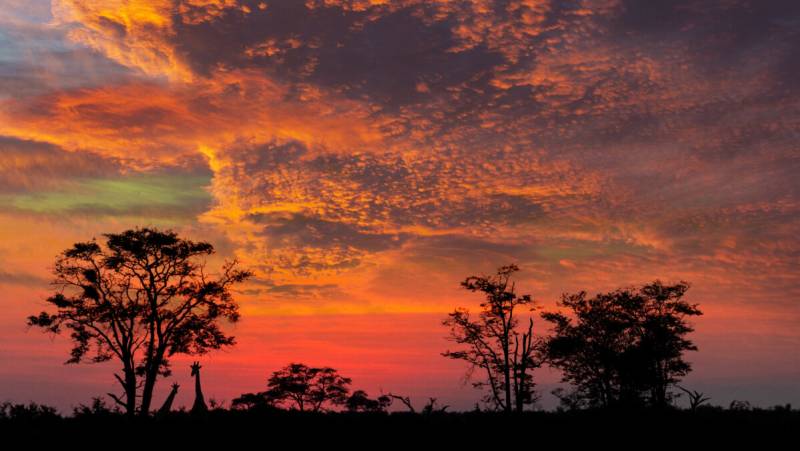 Botswana & Namibia: Delta & Dunes
