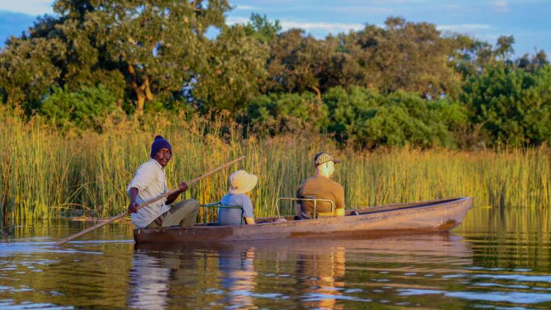 Wildlife & Wilderness of Botswana
