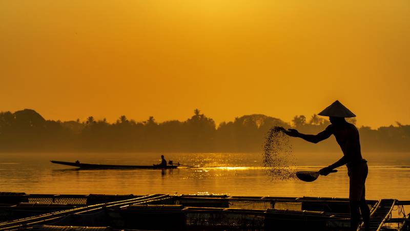 Mekong Delta