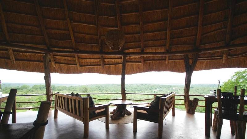 Chimps & Gorillas of Uganda