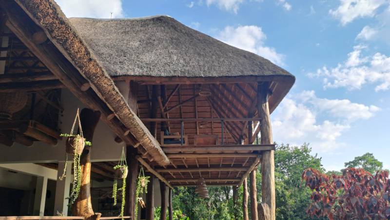 Chimps & Gorillas of Uganda