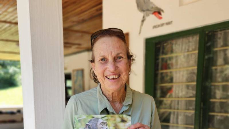 Chimps & Gorillas of Uganda