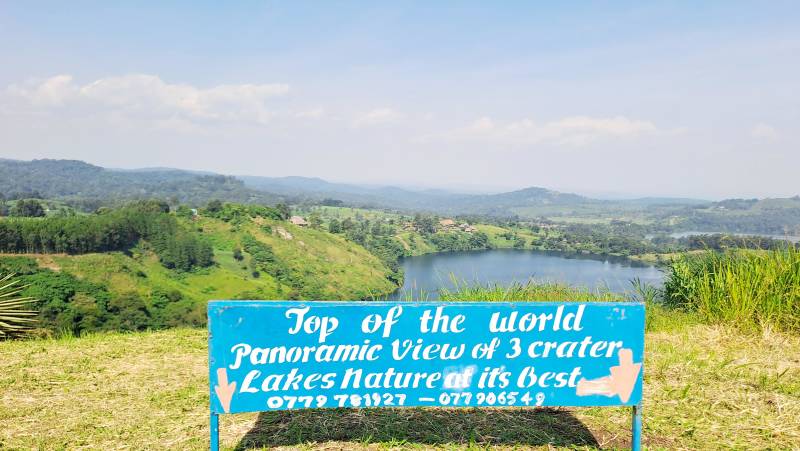 Chimps & Gorillas of Uganda