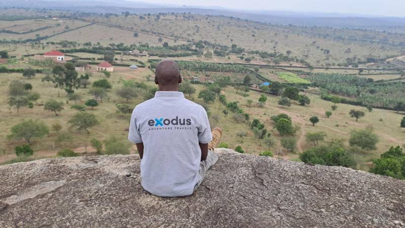 Chimps & Gorillas of Uganda