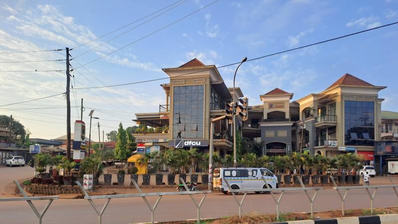 Chimps & Gorillas of Uganda