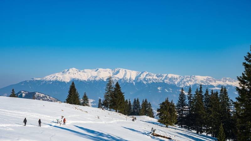 Transylvania Winter Walk & Snowshoe