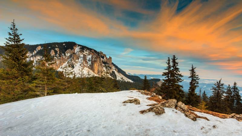 Transylvania Winter Walk & Snowshoe