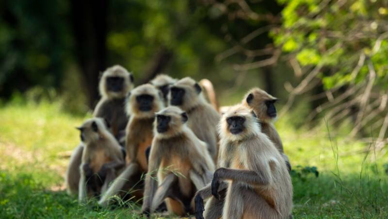 Highlights of Northern India – Summer itinerary