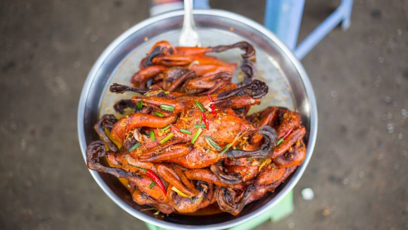 Cycle Southeast Asia