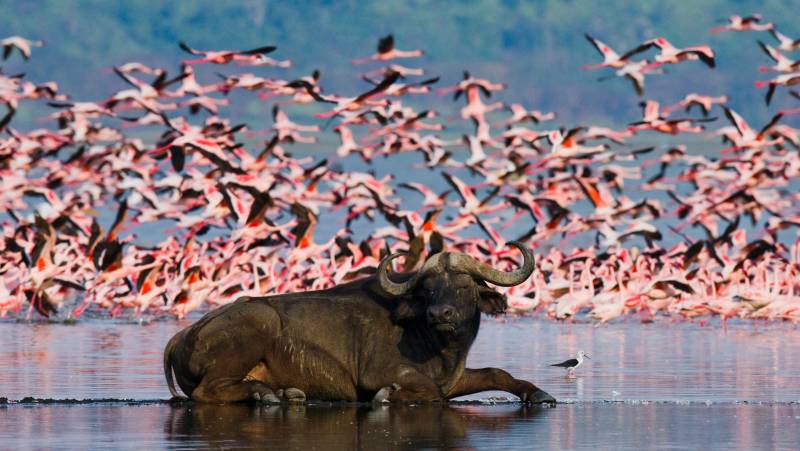 Kenya & Tanzania Adventure