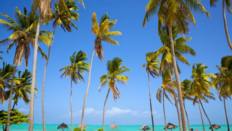 Kenya & Tanzania Adventure