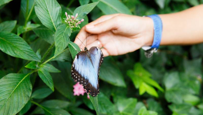 Costa Rica Adventure Family Holiday