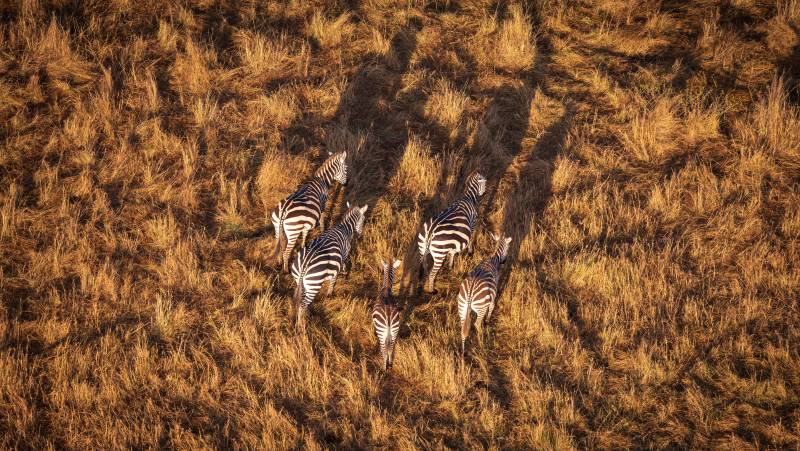 Kenya & Tanzania Adventure