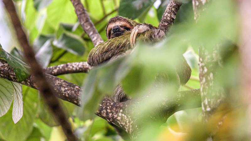 Natural Highlights of Costa Rica