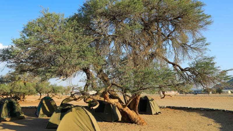 Discover Namibia – Camping