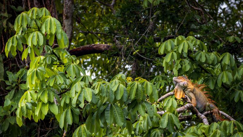 Costa Rica Adventure Family Holiday