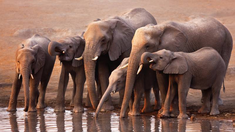 Discover Namibia – Camping