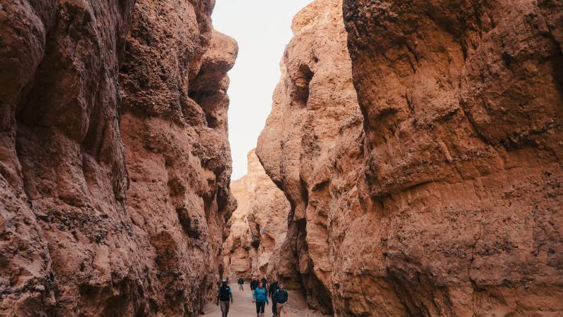 Botswana & Namibia: Delta & Dunes
