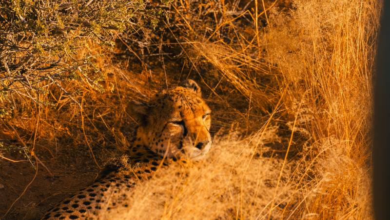 Discover Namibia – Lodges