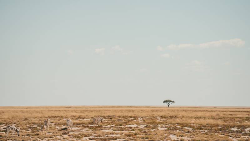 Discover Namibia – Lodges