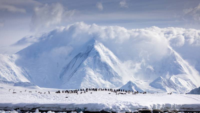 Antarctic Peninsula: Crossing the Circle